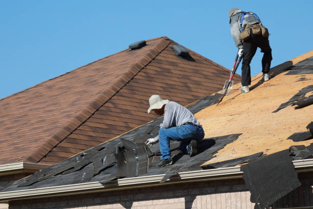 Tower Lakes, IL Roofing services Company