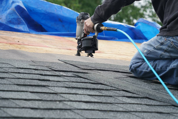 Best Roof Ventilation Installation  in Tower Lakes, IL